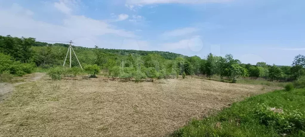 Участок 10 сот. (СНТ, ДНП) - Фото 0