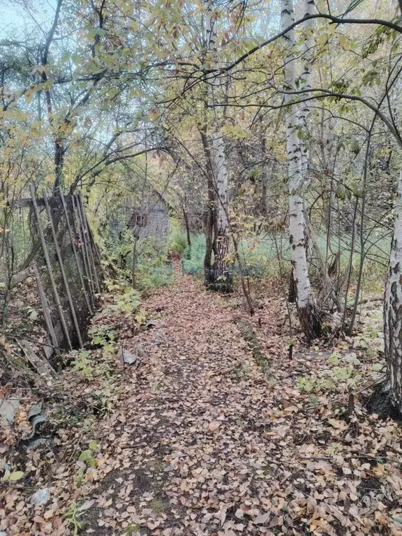 Участок в Нижегородская область, Нижний Новгород Связь СНТ,  (4.6 ... - Фото 1