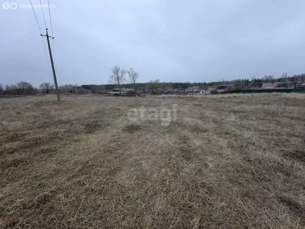 Участок в село Александровка, Васильковая улица (9 м) - Фото 0