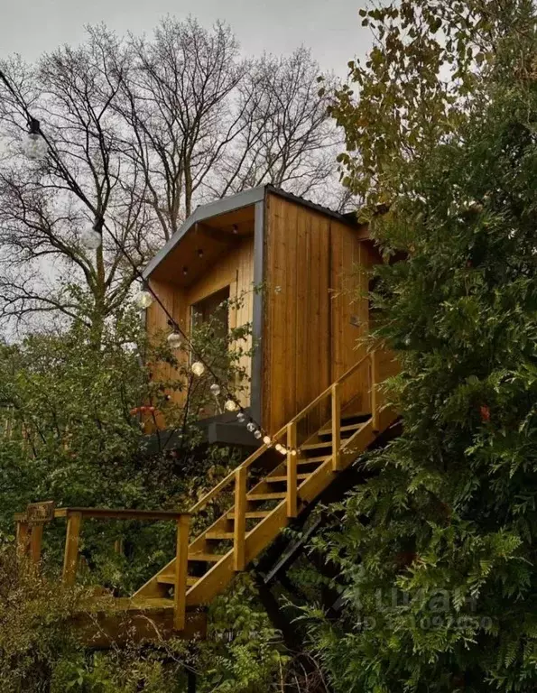 Дом в Ярославская область, Переславль-Залесский муниципальный округ, ... - Фото 2