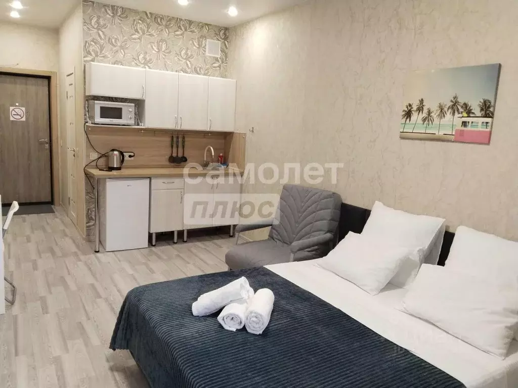 Студия Московская область, Солнечногорск городской округ, Голубое пгт ... - Фото 2