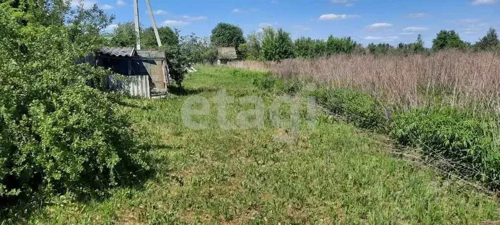 Участок в Брянская область, Брянский район, Добрунское с/пос, Полет ... - Фото 1
