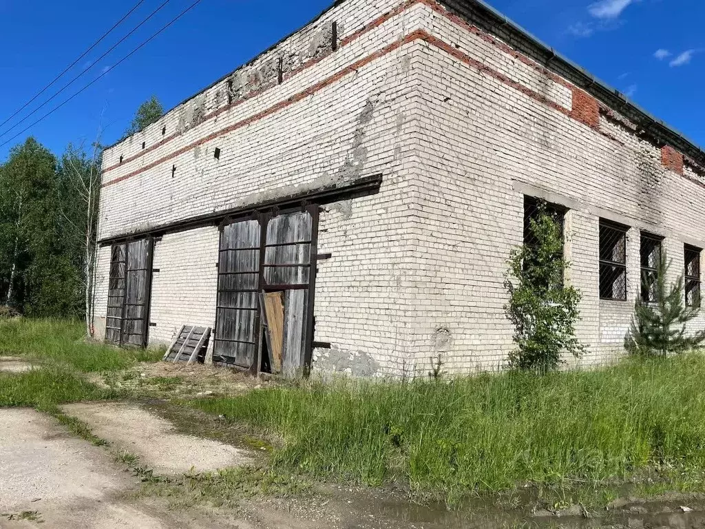 помещение свободного назначения в владимирская область, судогодский . - Фото 0