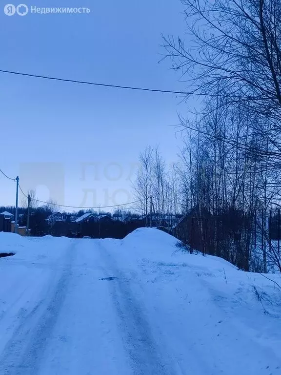 Участок в Новгородский район, Ракомское сельское поселение, деревня ... - Фото 1