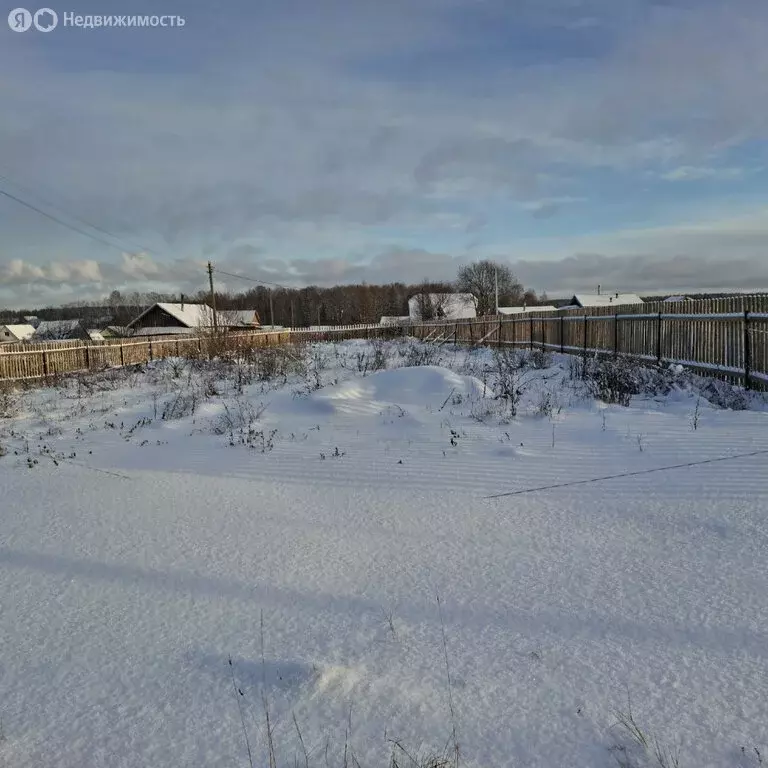 Участок в село Пасегово, Профсоюзная улица, 20 (13 м) - Фото 2