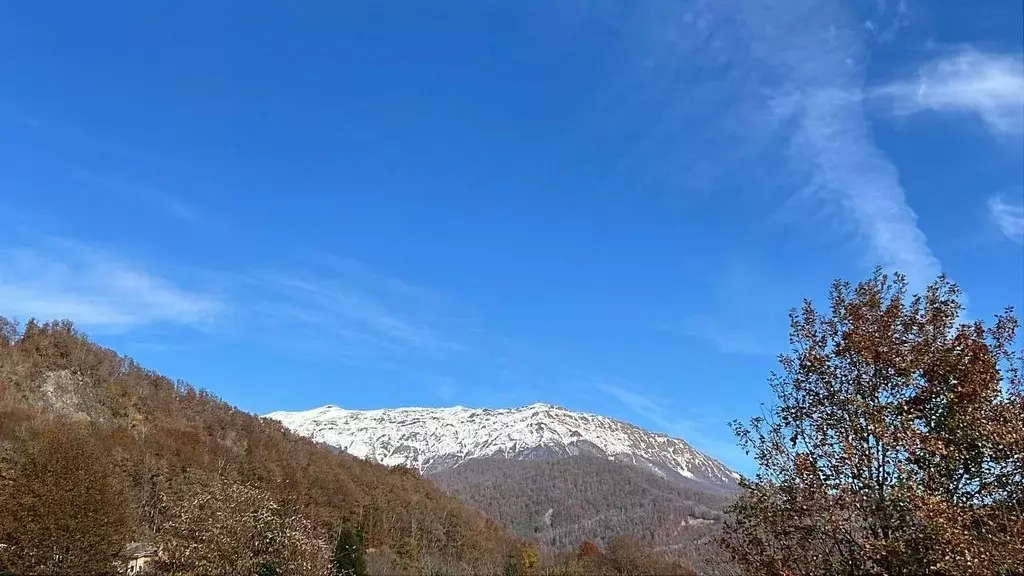 Участок в Краснодарский край, Сочи Красная Поляна пгт, ул. Ачишховская ... - Фото 2