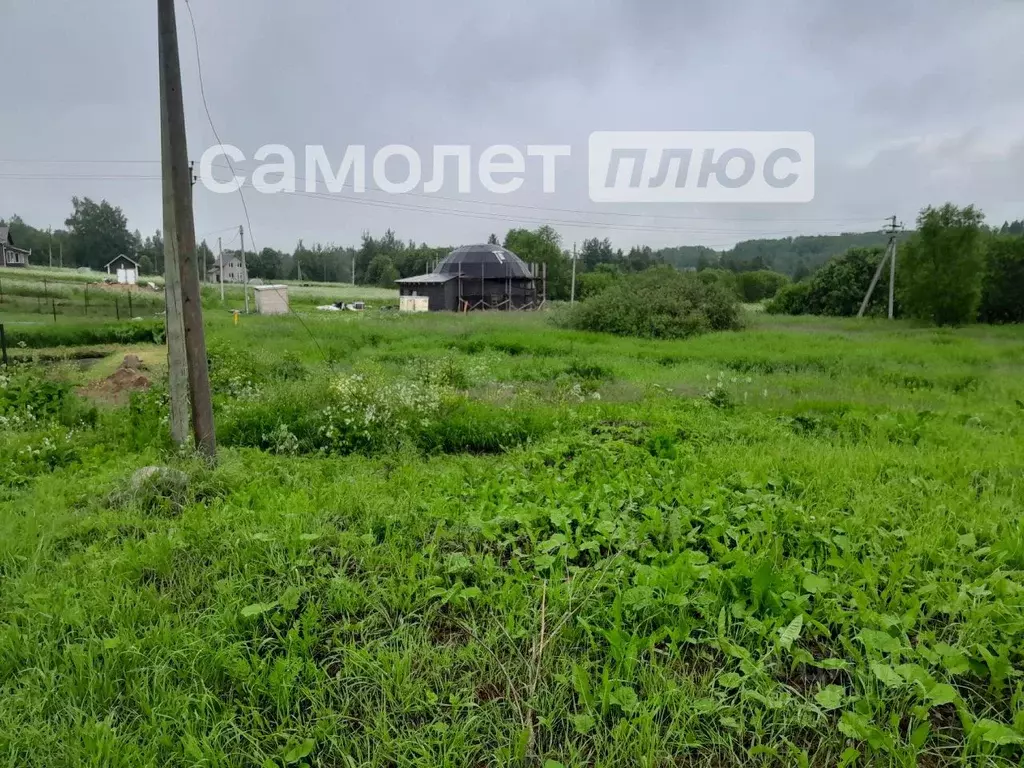 Участок в Вологодская область, Шекснинский муниципальный округ, ... - Фото 1