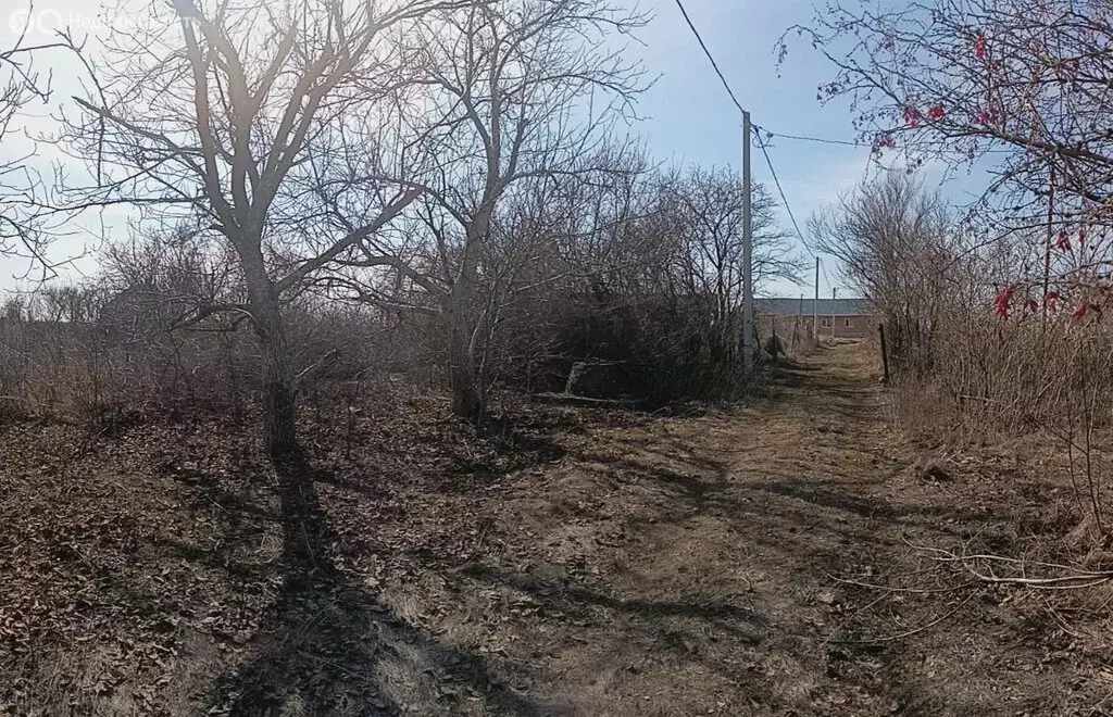 Участок в Ейск, СНТ Виктория (5 м) - Фото 0