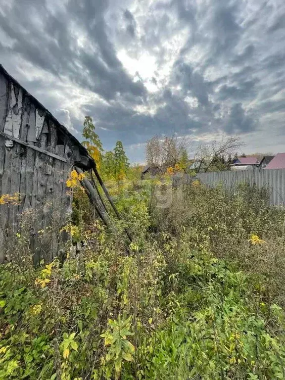 Участок в Башкортостан, Гафурийский район, Красноусольский сельсовет, ... - Фото 2