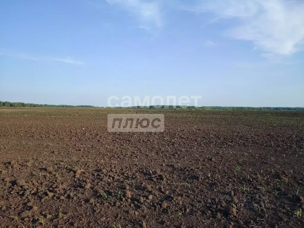 Участок в Тюменская область, Тюменский муниципальный округ, д. Зырянка ... - Фото 1