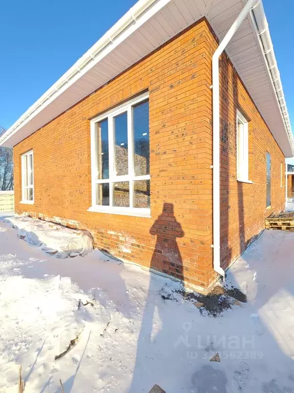 Дом в Омская область, Омский район муниципальный округ, с. Пушкино ул. ... - Фото 1
