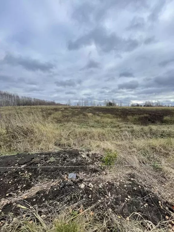 Участок в Чувашия, Чебоксарский муниципальный округ, д. Микши-Энзей  ... - Фото 1