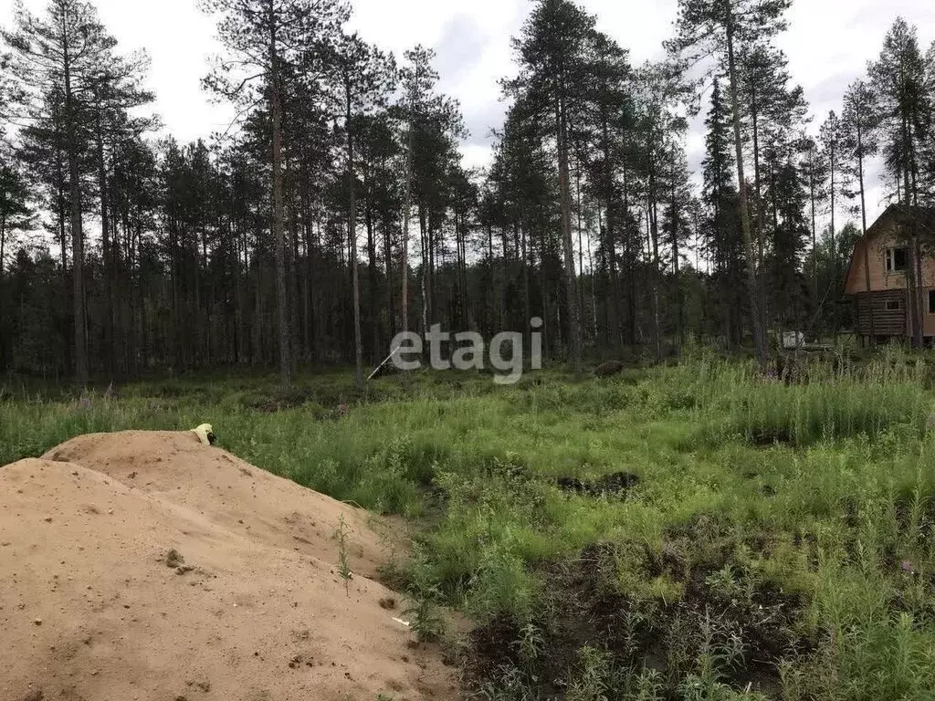 Участок в Республика Коми, муниципальный район Корткеросский, ... - Фото 0