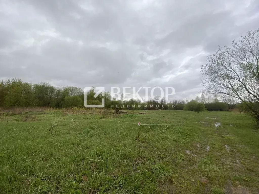 Участок в Костромская область, Костромской район, Бакшеевское с/пос, ... - Фото 1