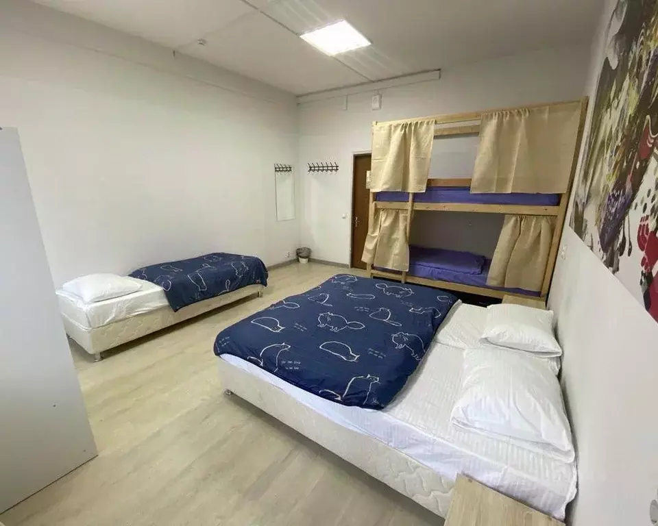 Комната Владимирская область, Владимир Большая Московская ул., 57 ... - Фото 1