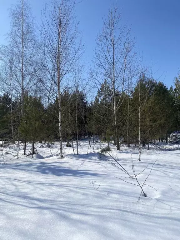 Участок в Татарстан, Зеленодольский район, Большекургузинское с/пос, ... - Фото 1