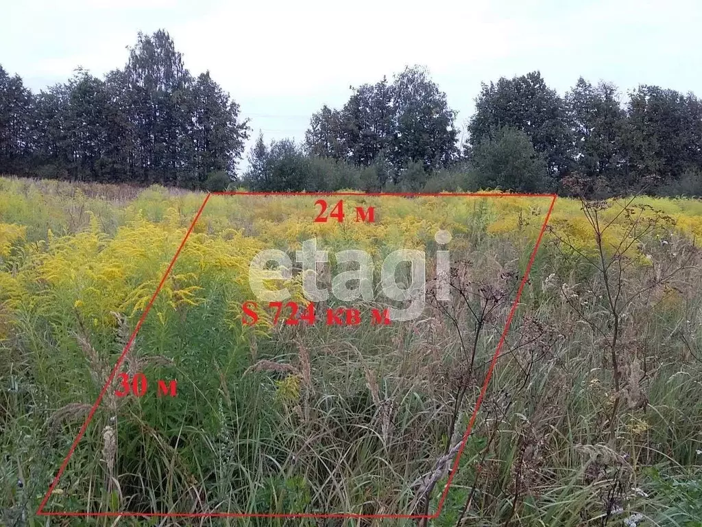 Участок в Брянская область, Брянский район, Новодарковичское с/пос, ... - Фото 2