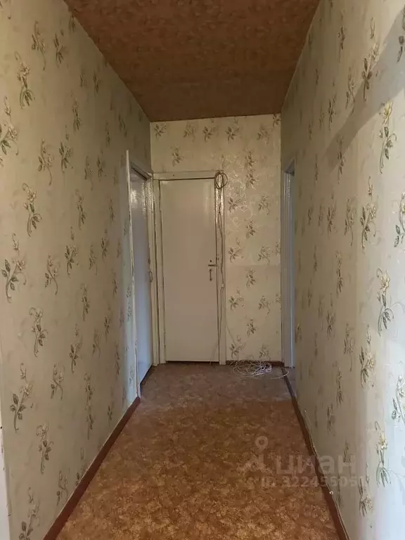 2-к кв. Воронежская область, Воронеж ул. 60-й Армии, 31 (54.0 м) - Фото 1