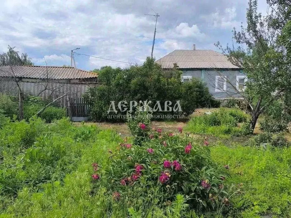 Дом в Белгородская область, Старооскольский городской округ, с. ... - Фото 1