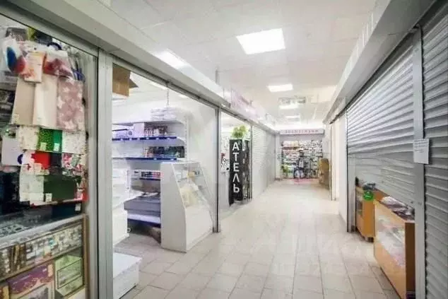 Помещение свободного назначения в Татарстан, Казань ул. Комиссара ... - Фото 2
