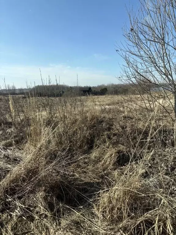 Участок в Новгородская область, Новгородский муниципальный район, ... - Фото 1