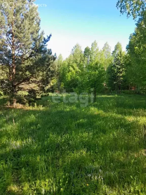 Участок в Иглинский район, село Охлебинино (13 м) - Фото 1