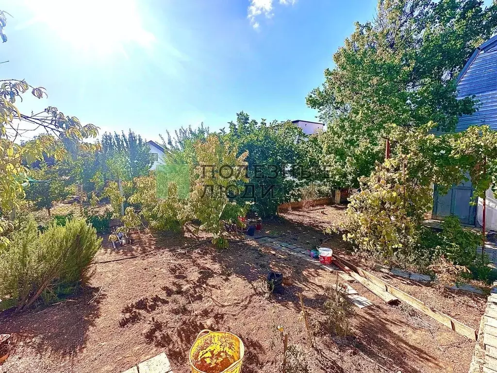 Участок в Севастополь ТСН СНТ Биолог тер., 74 (4.0 сот.) - Фото 1