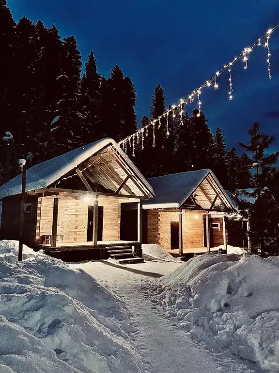 Дом в Алтай, Турочакский район, с. Артыбаш пер. Еловый, 6 (30 м) - Фото 0