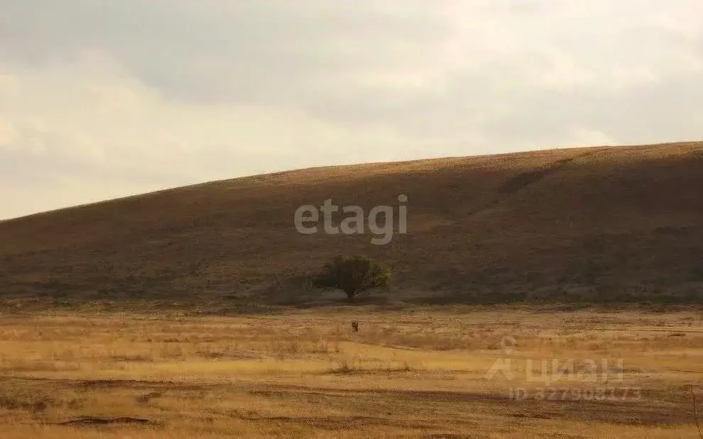 Участок в Волгоградская область, Волгоград 6 кв-л, 52 (8.1 сот.) - Фото 1