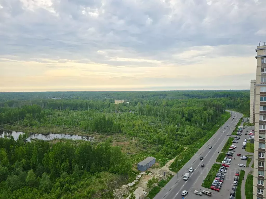 2-к кв. Санкт-Петербург ул. Ивинская, 7 (36.7 м) - Фото 1