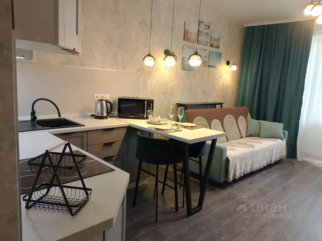 Студия Московская область, Ногинск Богородский городской округ, ул. ... - Фото 1