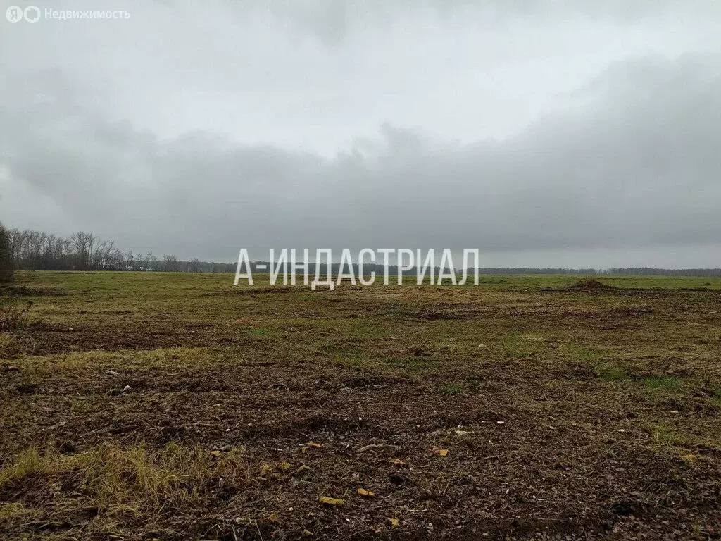 Участок в Московская область, Раменский муниципальный округ, село ... - Фото 1