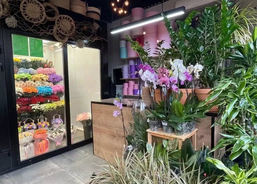 Торговая площадь в Московская область, Чехов ул. Уездная, 19Б (18 м) - Фото 2