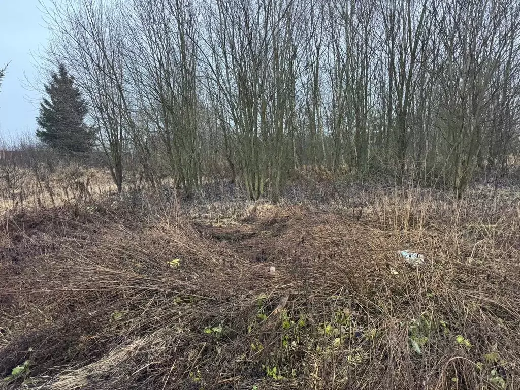 Участок в Московская область, Богородский городской округ, д. Горки ... - Фото 2