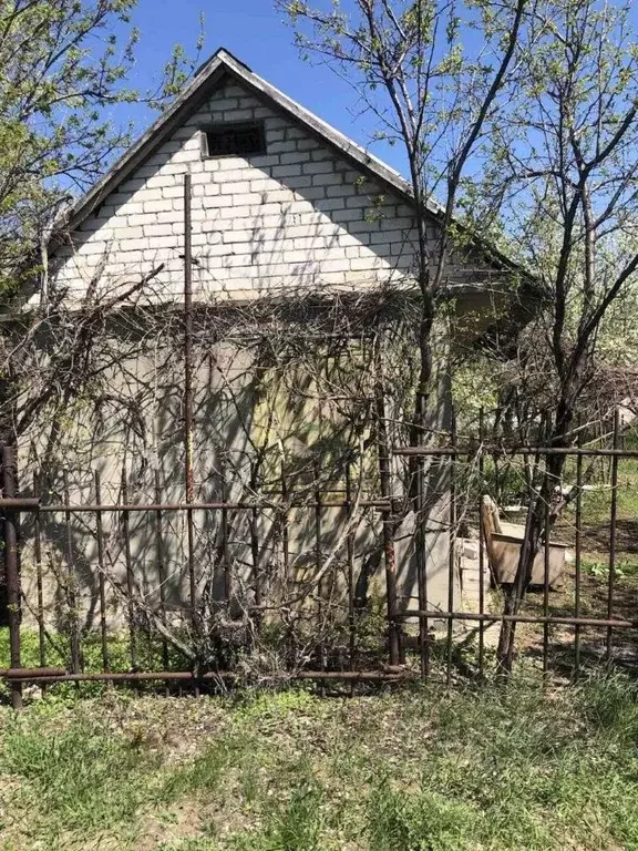 Участок в Саратовская область, Энгельс муниципальное образование, ... - Фото 1