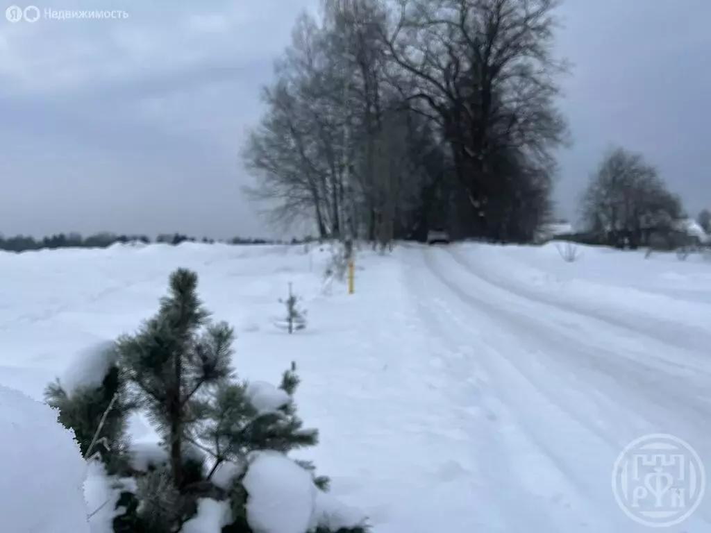 Участок в Лужский район, Скребловское сельское поселение, деревня ... - Фото 2