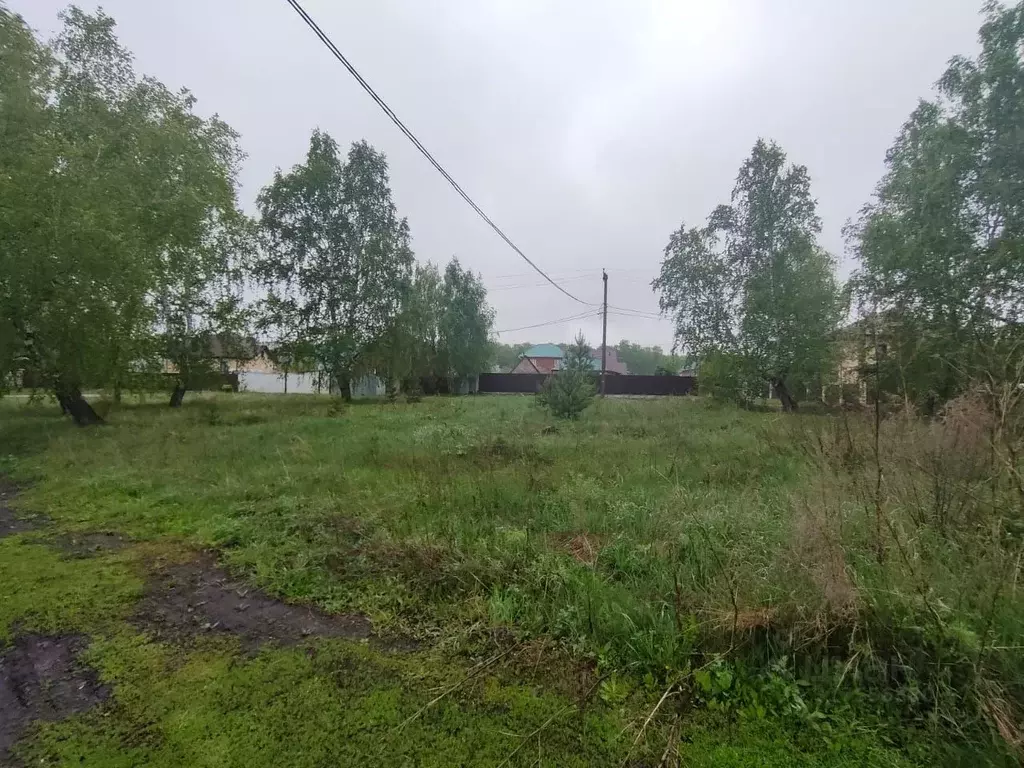 Участок в Челябинская область, Челябинск ул. Александровская (6.6 ... - Фото 0
