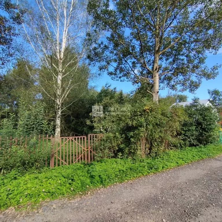 Участок в Московская область, Богородский городской округ, Флора СНТ  ... - Фото 1