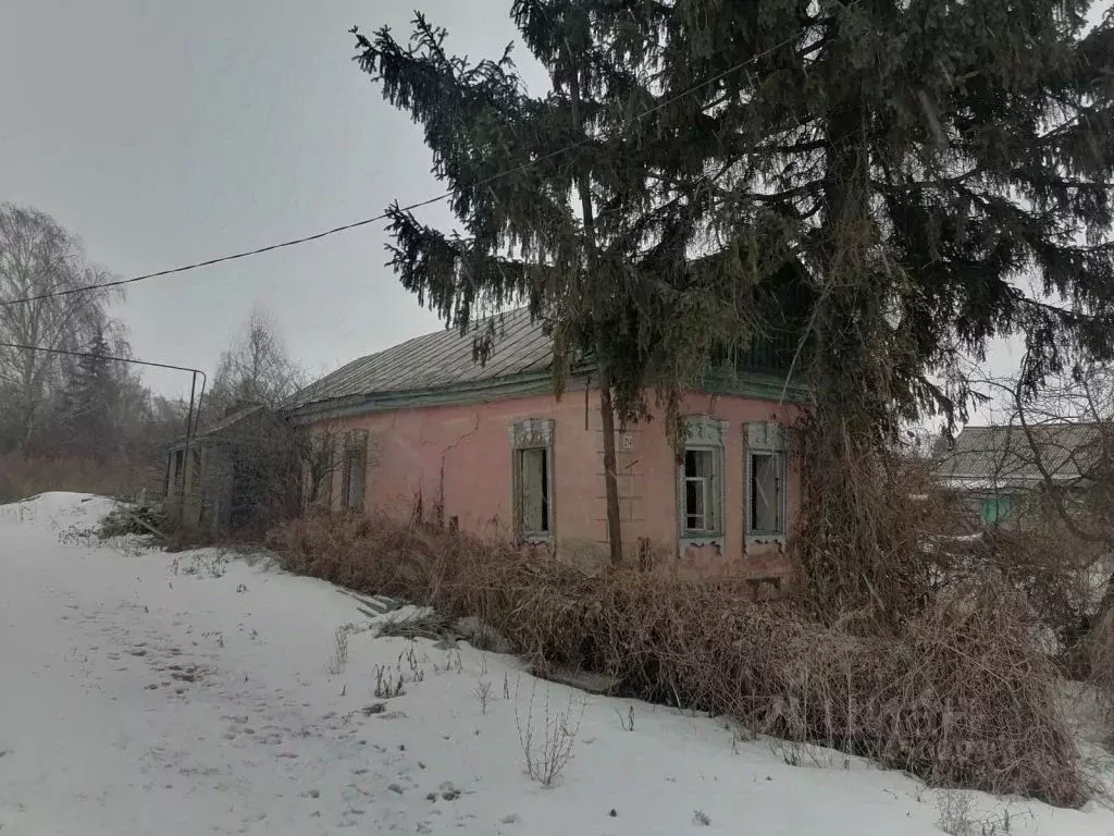 Дом в Пензенская область, Лунино рп ул. Советская, 214 (47 м) - Фото 0