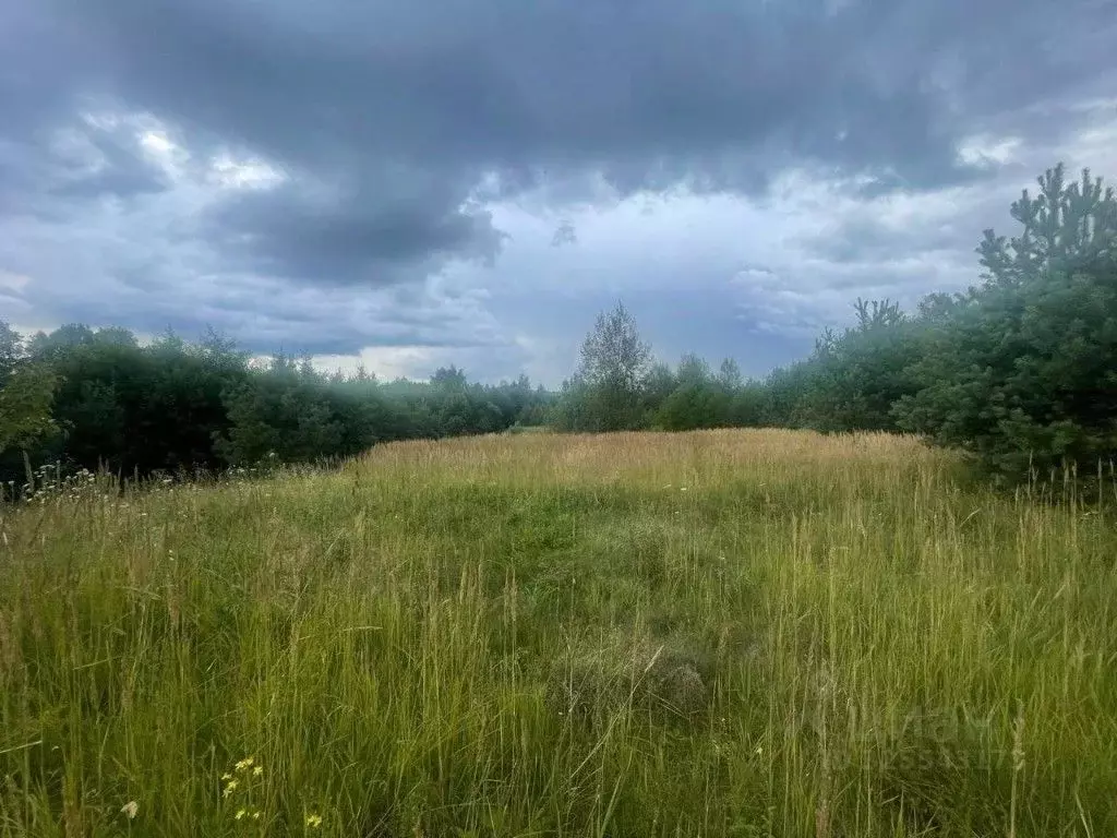 Участок в Псковская область, Себежский район, Идрица городское ... - Фото 1