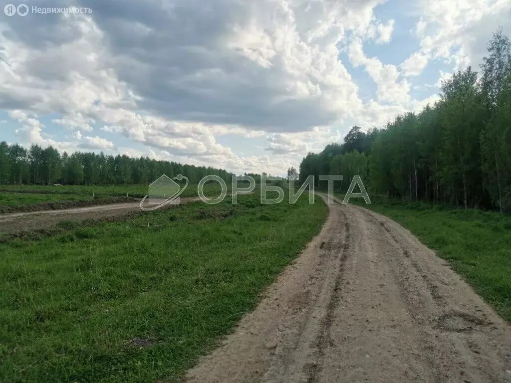 Участок в Тюменский район, деревня Чаплык (12 м) - Фото 0