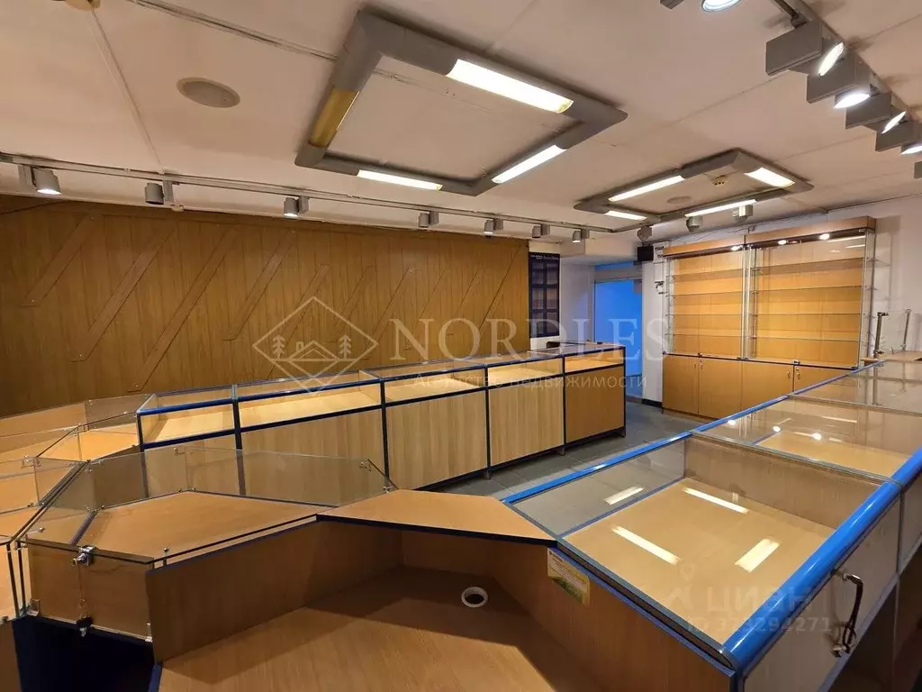 Торговая площадь в Московская область, Щелково Щелково-3 мкр, ул. ... - Фото 2