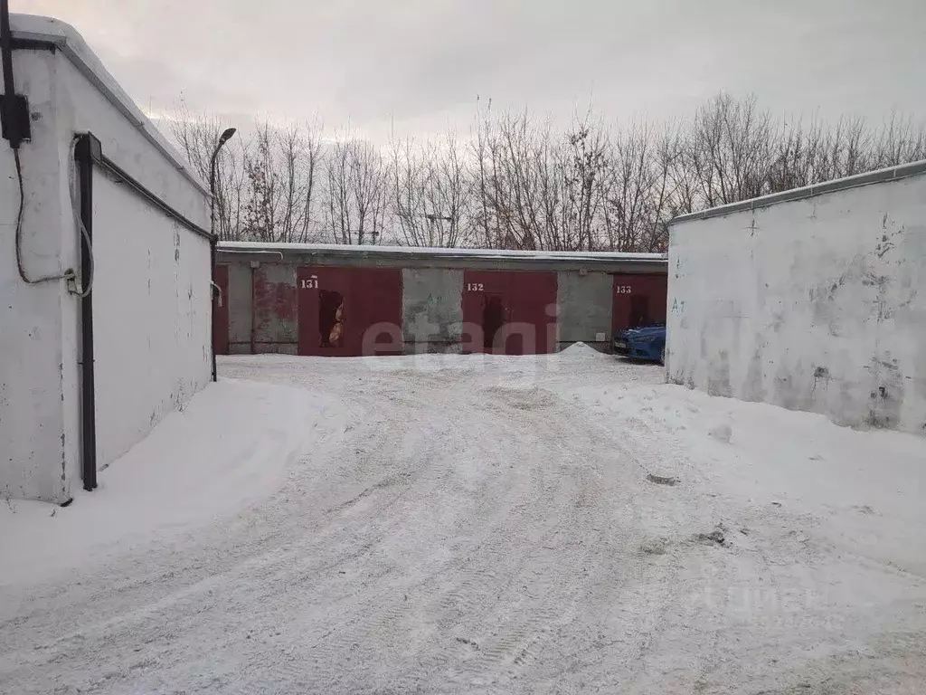 Гараж в Тюменская область, Тюмень Новгородская ул., 27 (22 м) - Фото 1