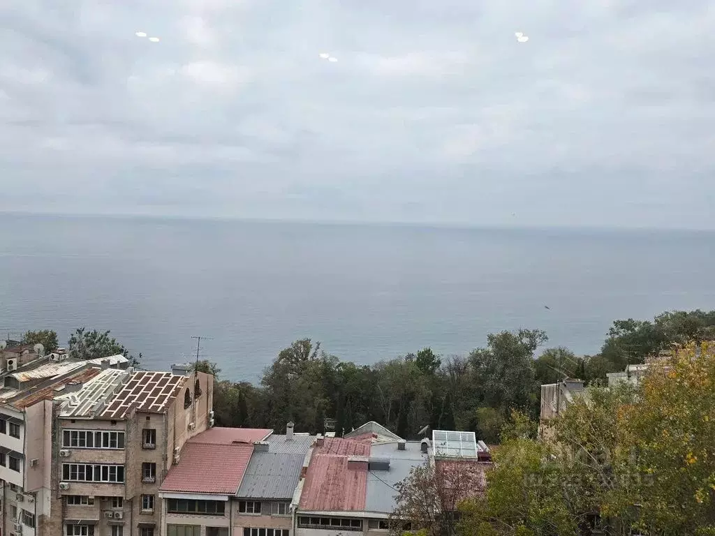 1-к кв. Краснодарский край, Сочи Звездная ул., 11 (64.0 м) - Фото 2