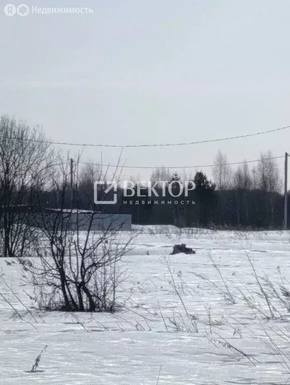 Участок в Кострома, Фабричный район, улица Владимира Семёнова (8.7 м) - Фото 2