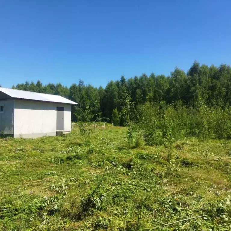 Дом в Тверская область, Рамешковский муниципальный округ, с. Кушалино  ... - Фото 1