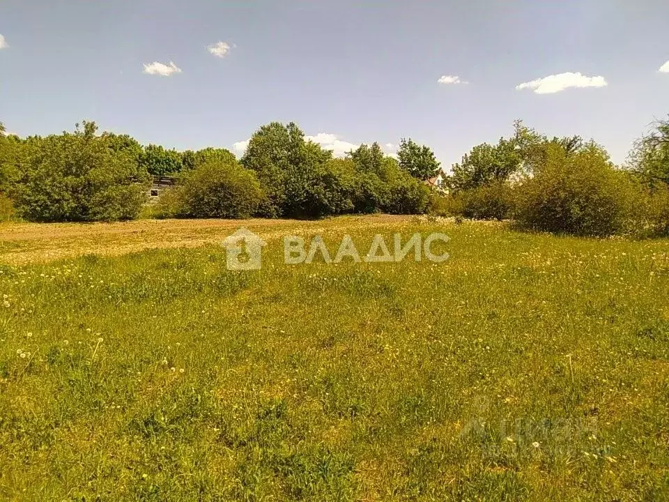 Участок в Владимирская область, Суздальский район, Павловское ... - Фото 1