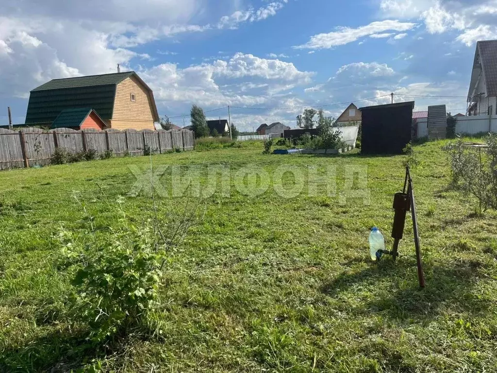 Участок в Новосибирская область, Новосибирский район, Кубовинский ... - Фото 1