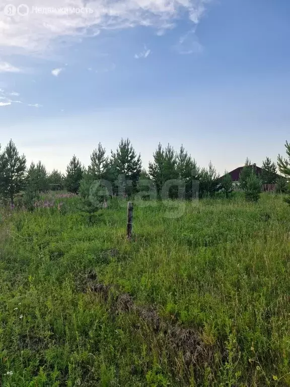 Участок в Иркутский муниципальный округ, СНТ Новое, Четвёртая улица ... - Фото 2