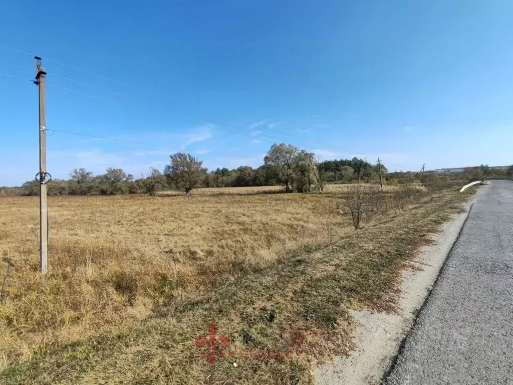 Участок в Белгородская область, Белгородский район, Хохловское с/пос, ... - Фото 2